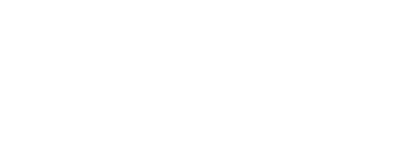 Mr Flower logo white