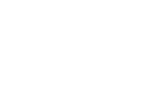 Sky logo white